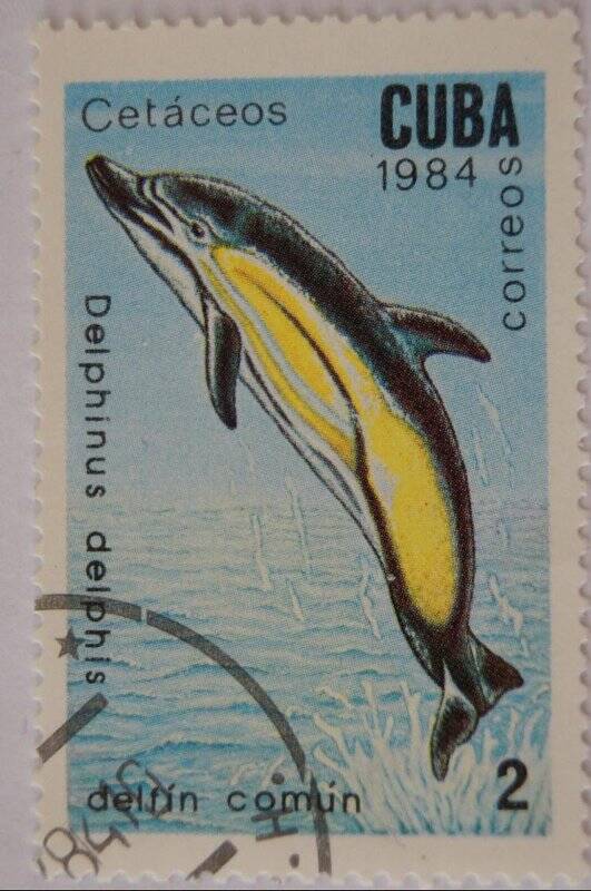 Почтовая марка CUBA CORREOS. Delfinus delphis Номинал 2.