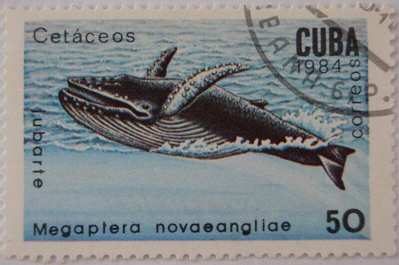 Почтовая марка CUBA CORREOS. Iubarte Номинал 50.