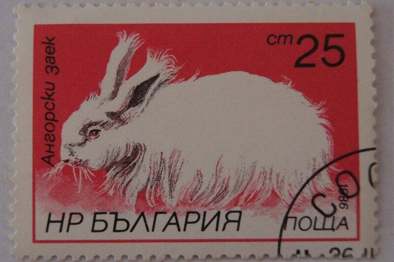 Почтовая марка НРБЪЛГАРИЯ Ангорский заяц Номинал 25.