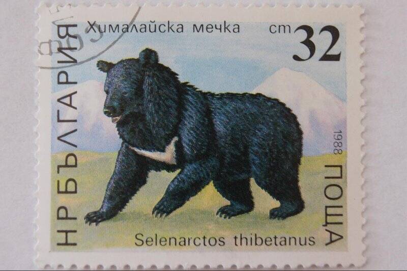 Почтовая марка НРБЪЛГАРИЯ Хималайская мечка –Гималайский медведь  Номинал 32.