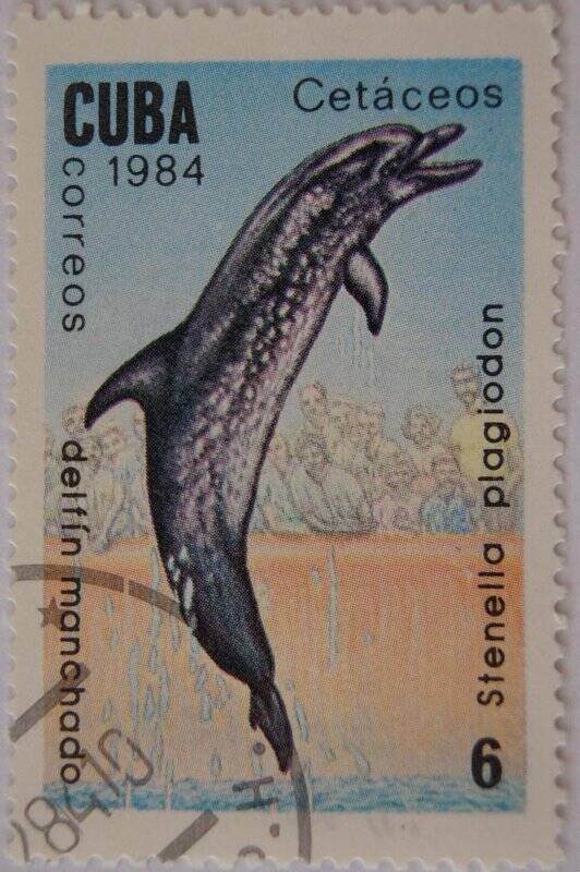 Почтовая марка CUBA CORREOS. Delfin manchado Номинал 6.