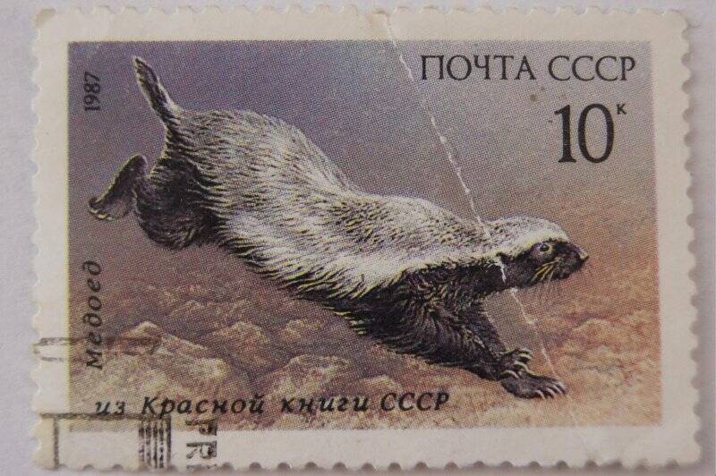 Почтовая марка Медоед из красной книги СССР Номинал 10 к.