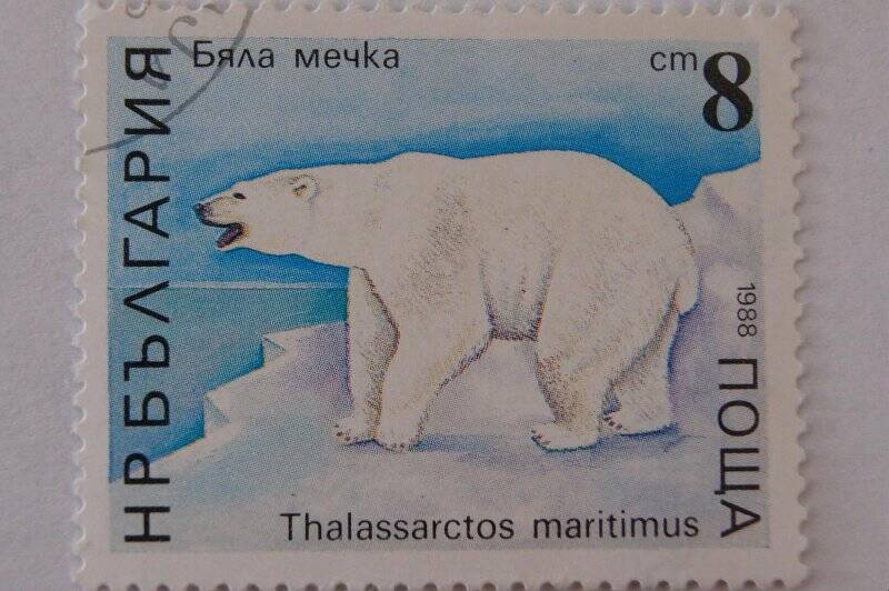 Почтовая марка НР БЪЛГАРИЯ Бяла мечка – белый медведь   Номинал 20.