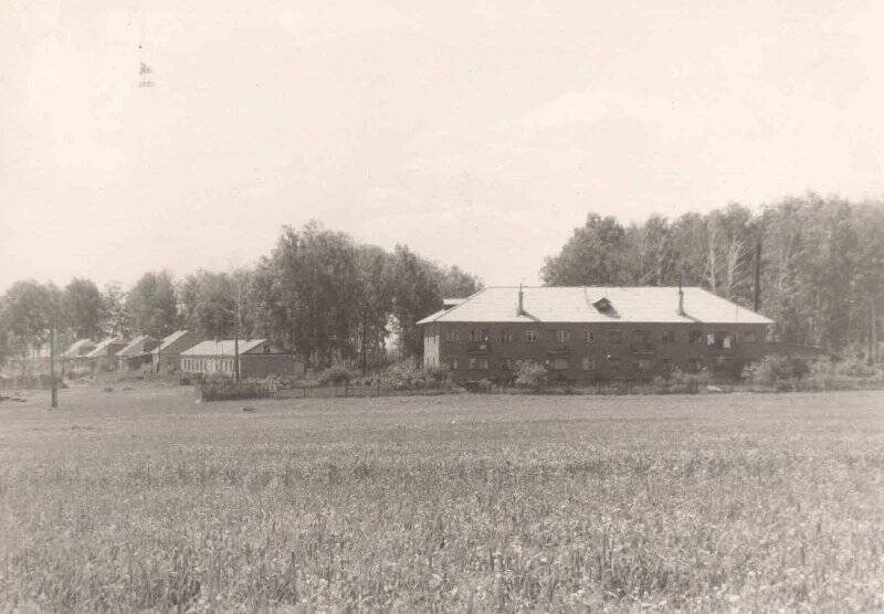 Фотография. Жилой дом поселка фирмы «Луч». 1960-е годы