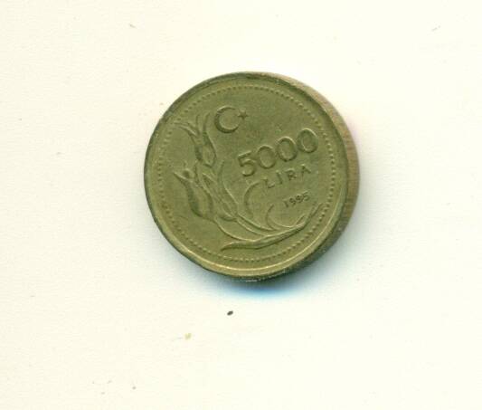 Монета. Турция.
 5000 лир. 1995 г.