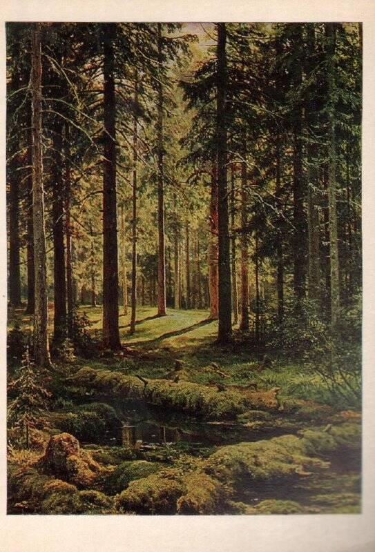 Открытка. Пейзаж. Автор И.И. Шишкин. Из набора открыток «Государственный русский музей»