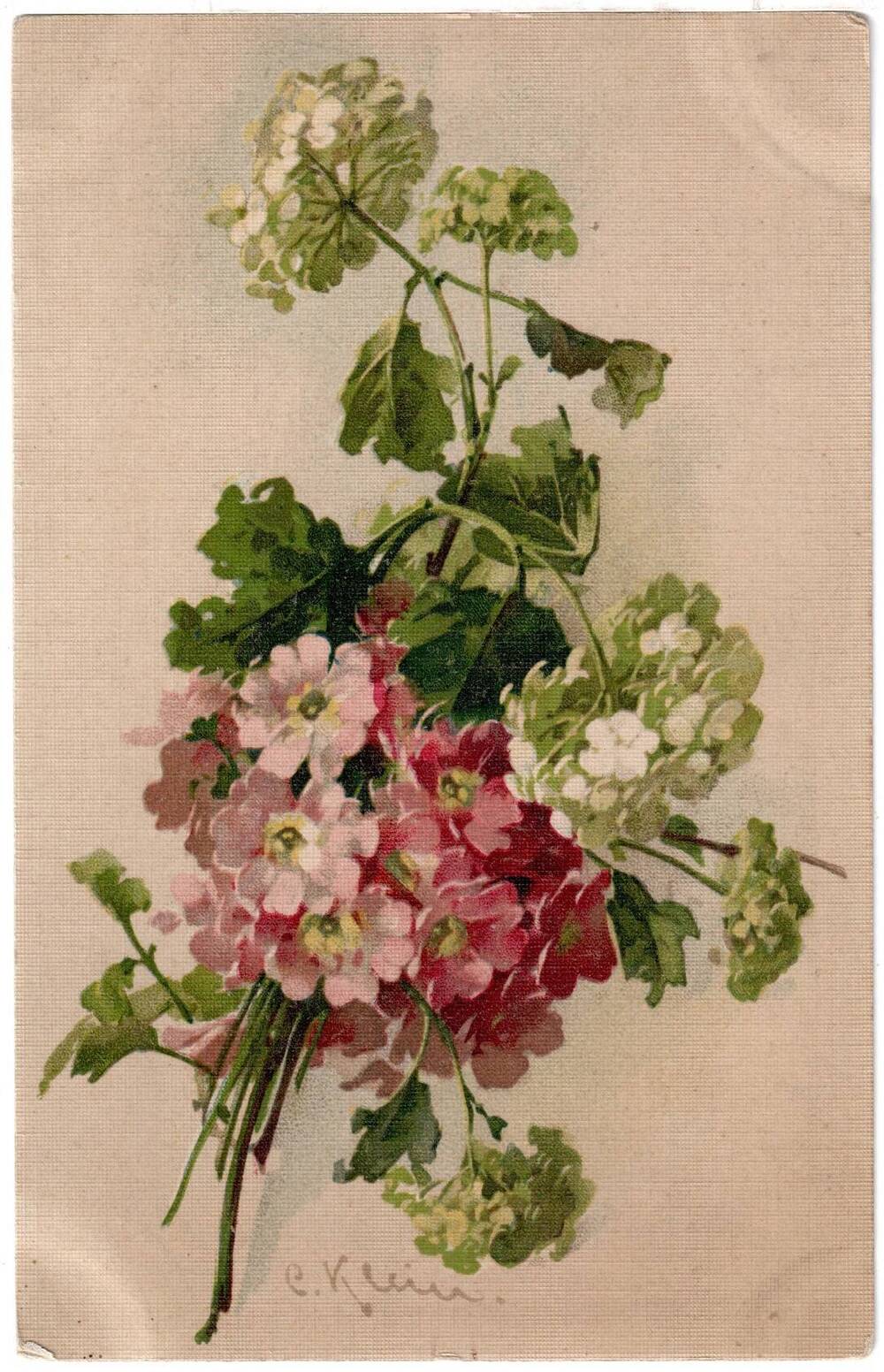 Почтовая открытка Первоцветы и калина.