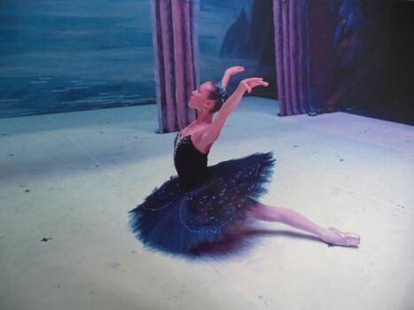 Фото: Тодинова Светлана в балете  Лебединое озеро