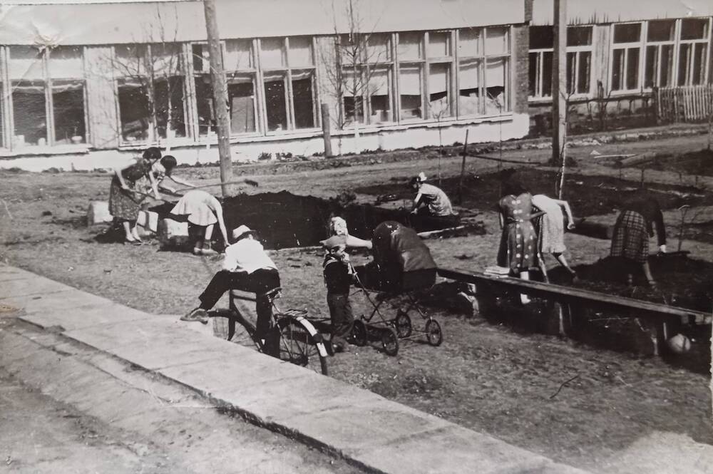 Фотография Посадка цветов д.Золотарево совхоз Зотовский