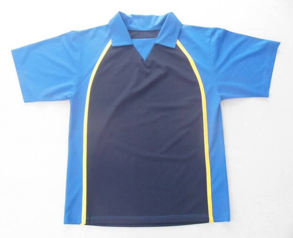 Комплект: кофта мужская спортивная синего цвета