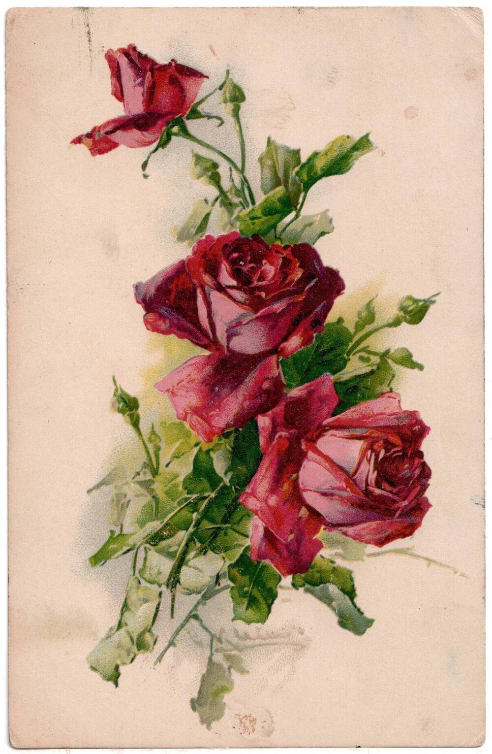 Почтовая открытка Красные розы.