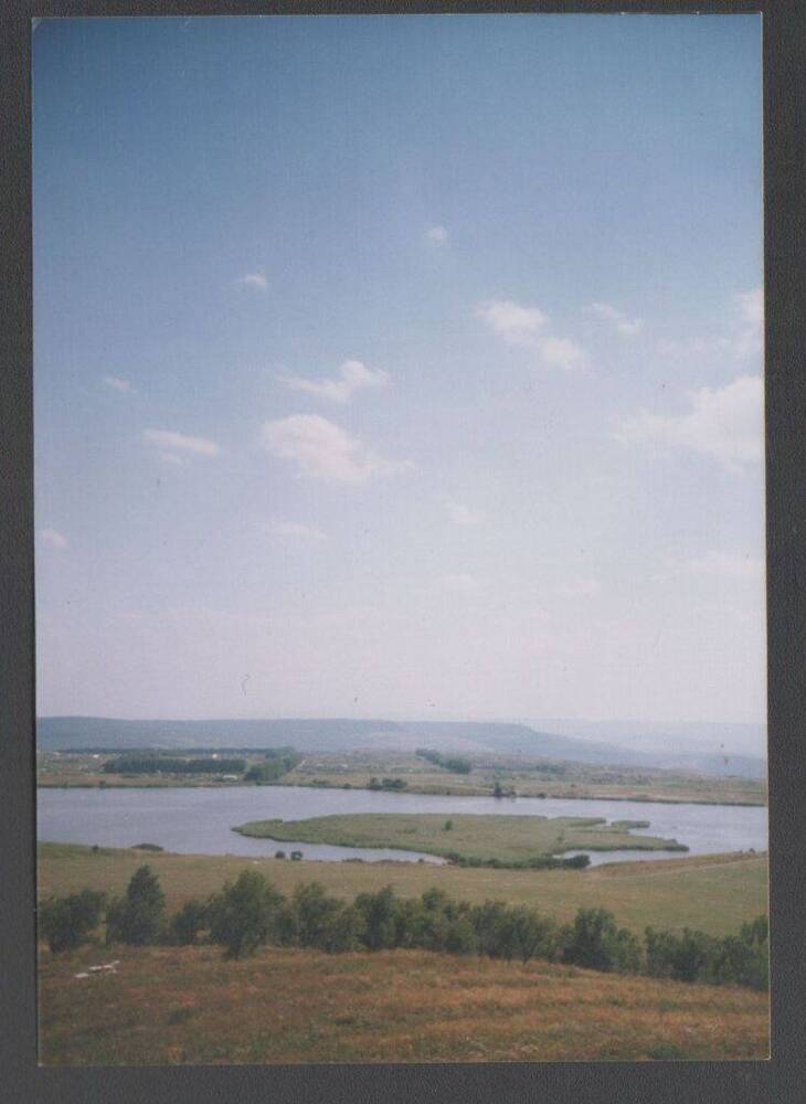 Цветное фото. Кравцово озеро-болото. Июль 2000 г. Автор Н.А.Гальфингер