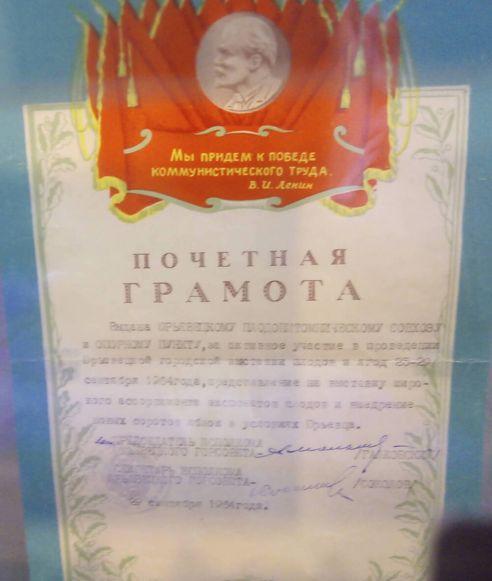 Почетная грамота    Юрьевецкого плодопитомнического совхоза за активное участие в проведении выставки плодов и ягод.