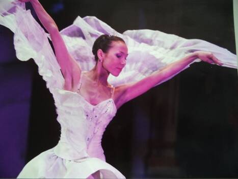 Фото: Тодинова Светлана в роли голубя мира в балете Щелкунчик