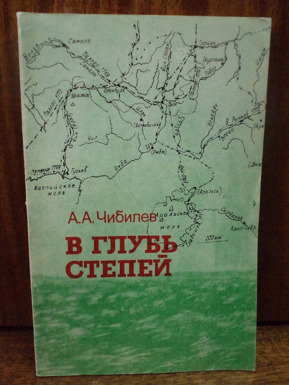 А.А.Чибилев. В глубь степей. 1993 г.