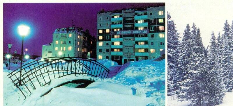 Открытка. Ночная Кедровка. Зимний пейзаж. Комплект открыток Зимняя КЕДРОВКА