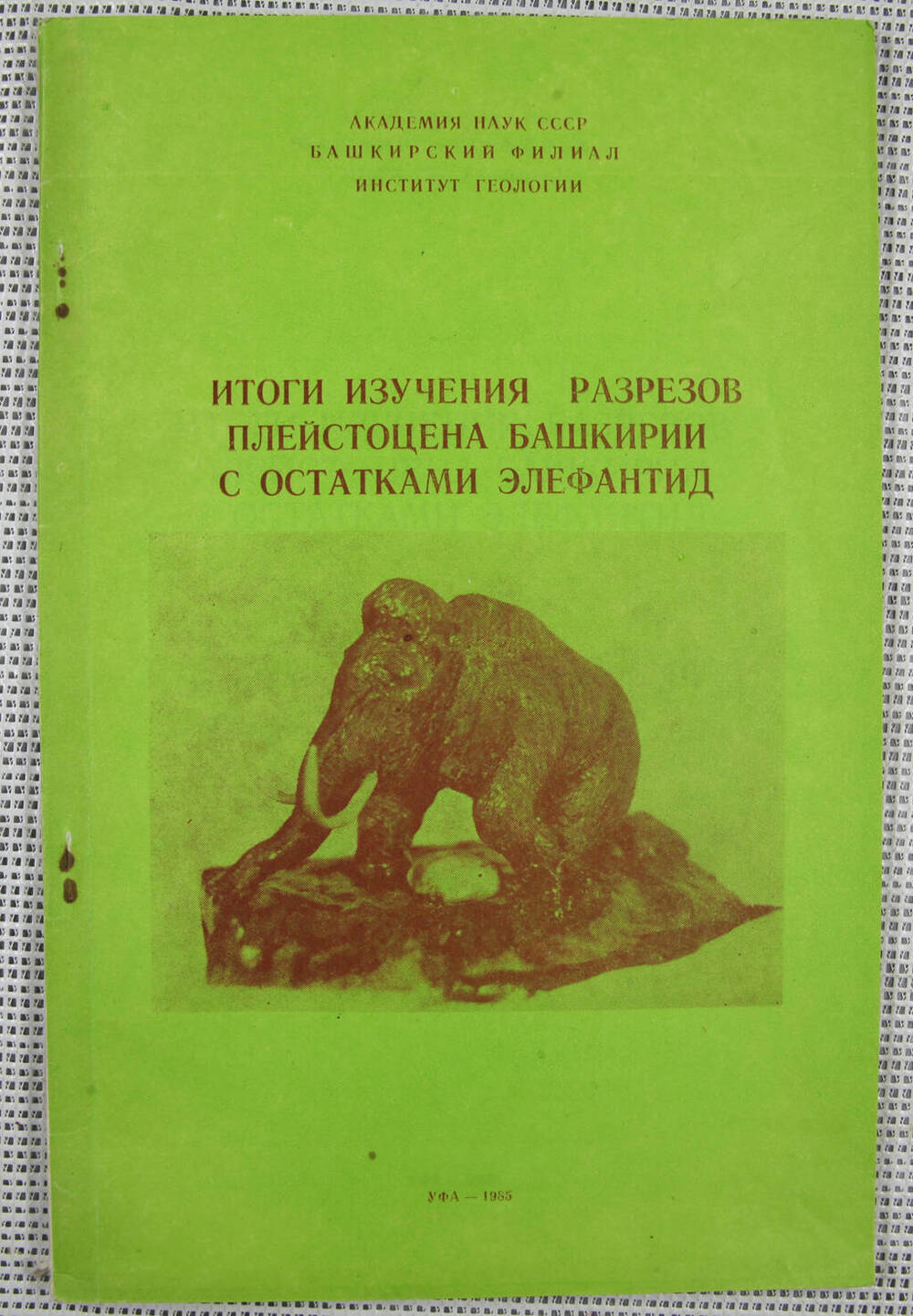 Книга. Итоги изучения разрезов плейстоцена Башкирии с остатками элефантид.