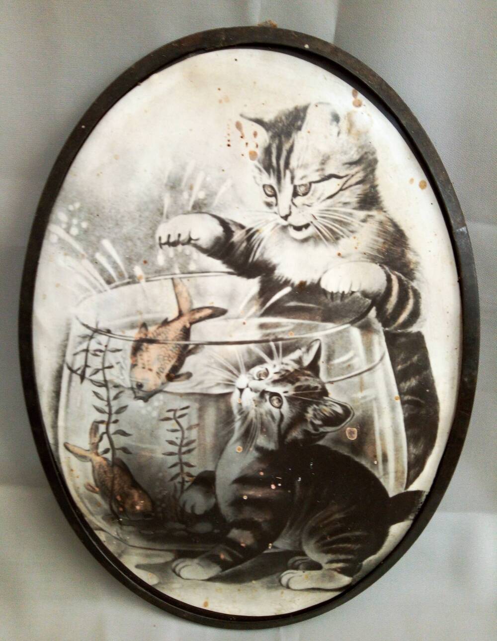 Фотографическая открытка «Два котенка у аквариума». Сувенирная фабрика. СССР, 1950-е гг.