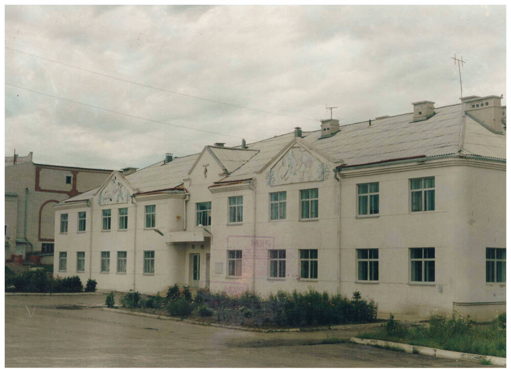 Фотография видовая. Здание катка г. Райчихинска