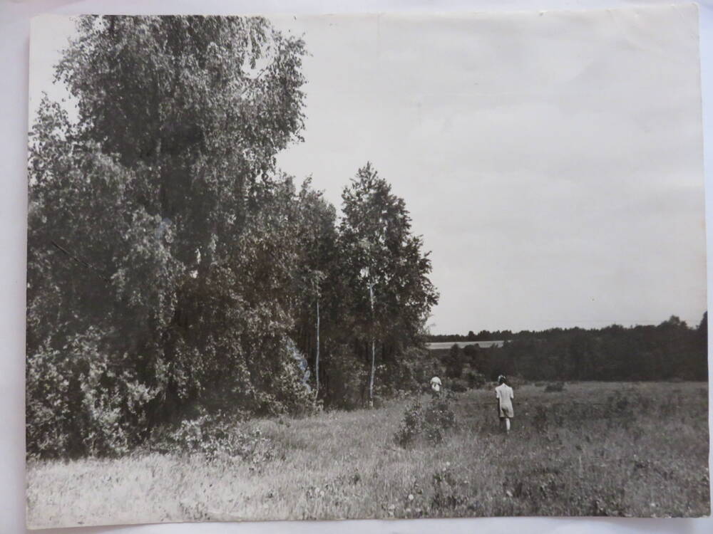 Фотография Этюд, помещённый в газете Сельская правда