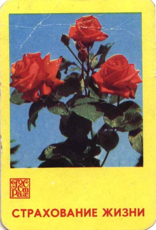 Календарь карманный на 1980 год. Страхование жизни. Букет роз
