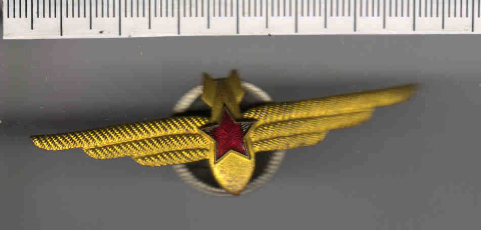 Нагрудный знак Военный штурман бомбардировочной авиации.