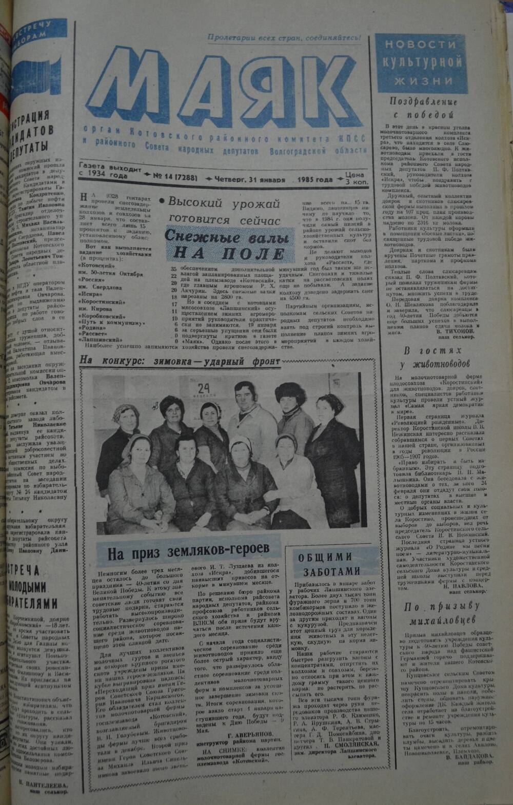 Газета Маяк № 14 (7288). Четверг, 31 января 1985 года.