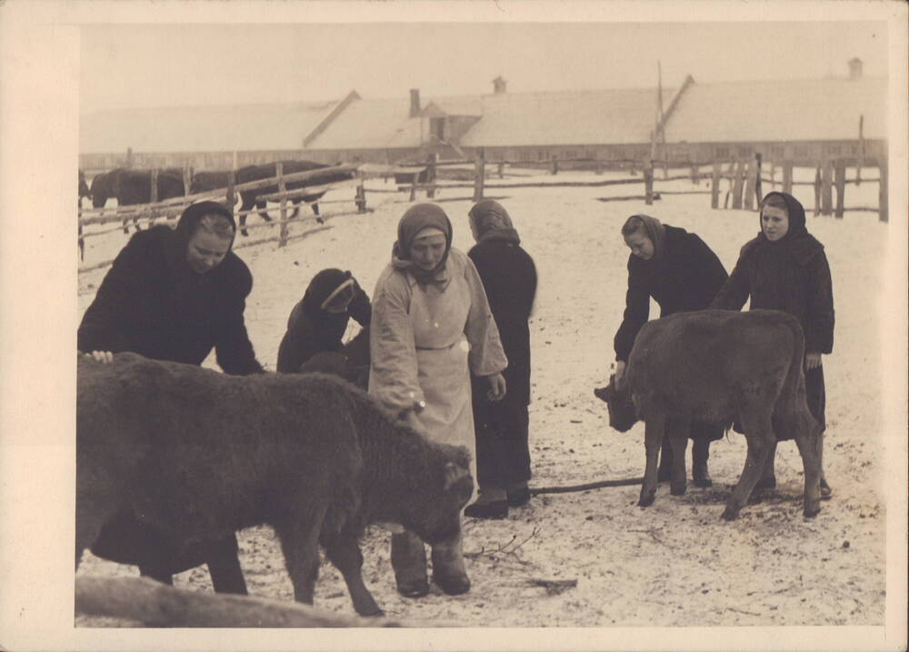 Фотография учеников 6 класса средней школы колхоза им. Ленина, 1957 год.