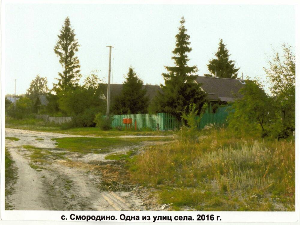 Фото. с. Смородино. Одна из улиц села.
