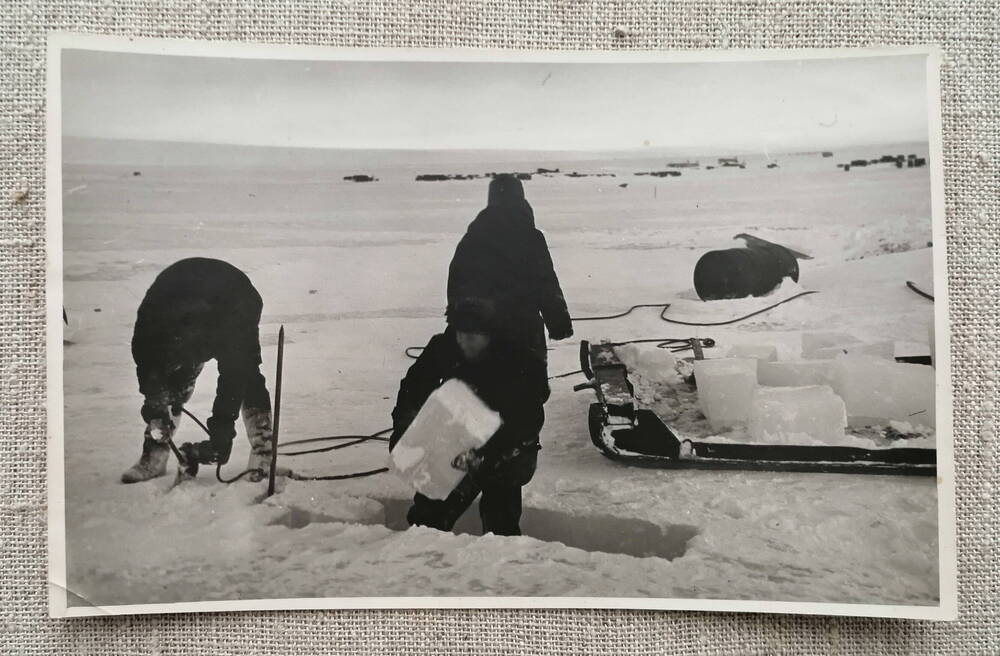 Фото. Заготовка льда для кухни и бани 1957 г.
