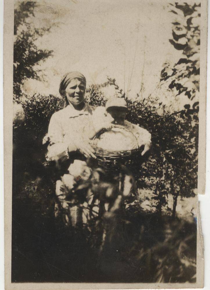 Фотография черно-белая. Дурай Петр Степанович в корзине с няней, 1903 год