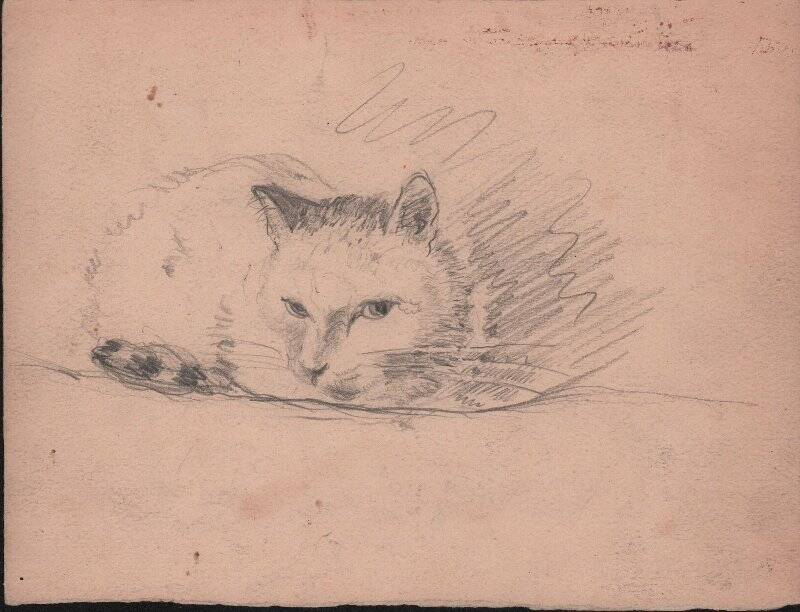 Рисунок «Кошка»