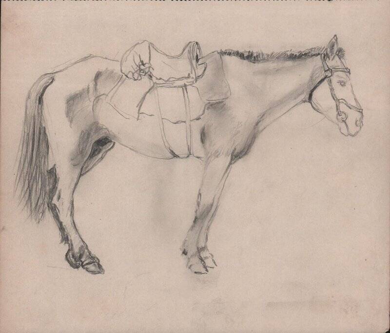 Рисунок «Оседланная лошадь»