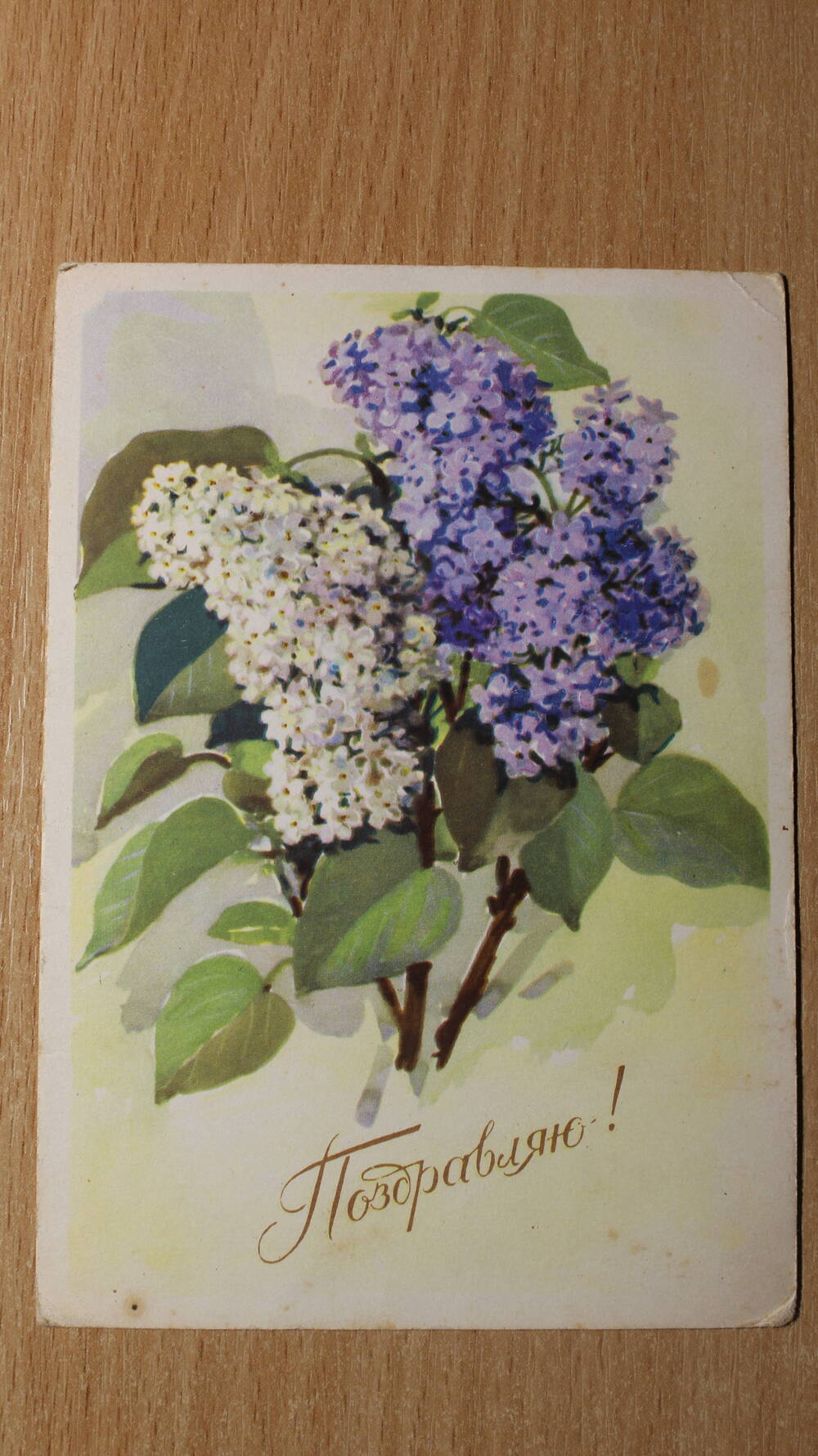 Фотография. Коллекция открыток с изображением цветов.