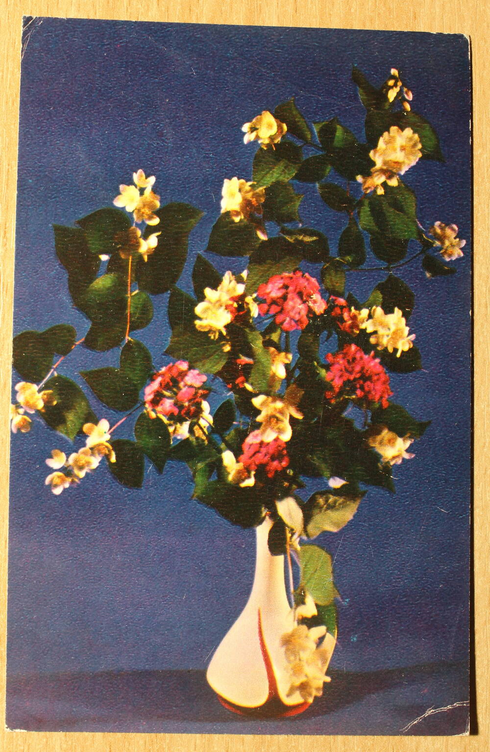 Фотография. Коллекция открыток с изображением цветов. Весеннее настроение