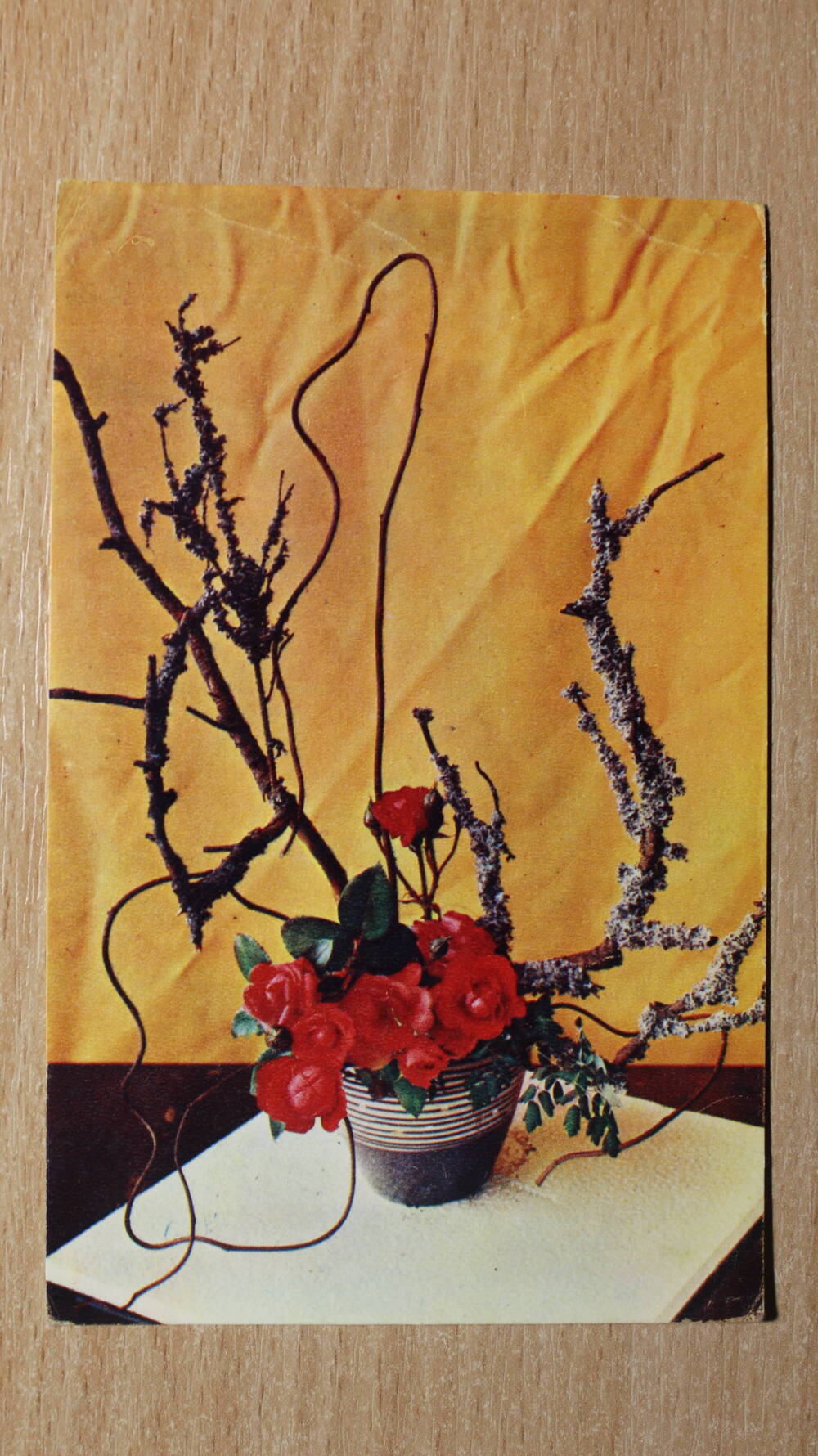 Фотография. Коллекция открыток с изображением цветов. Композиция из цветов