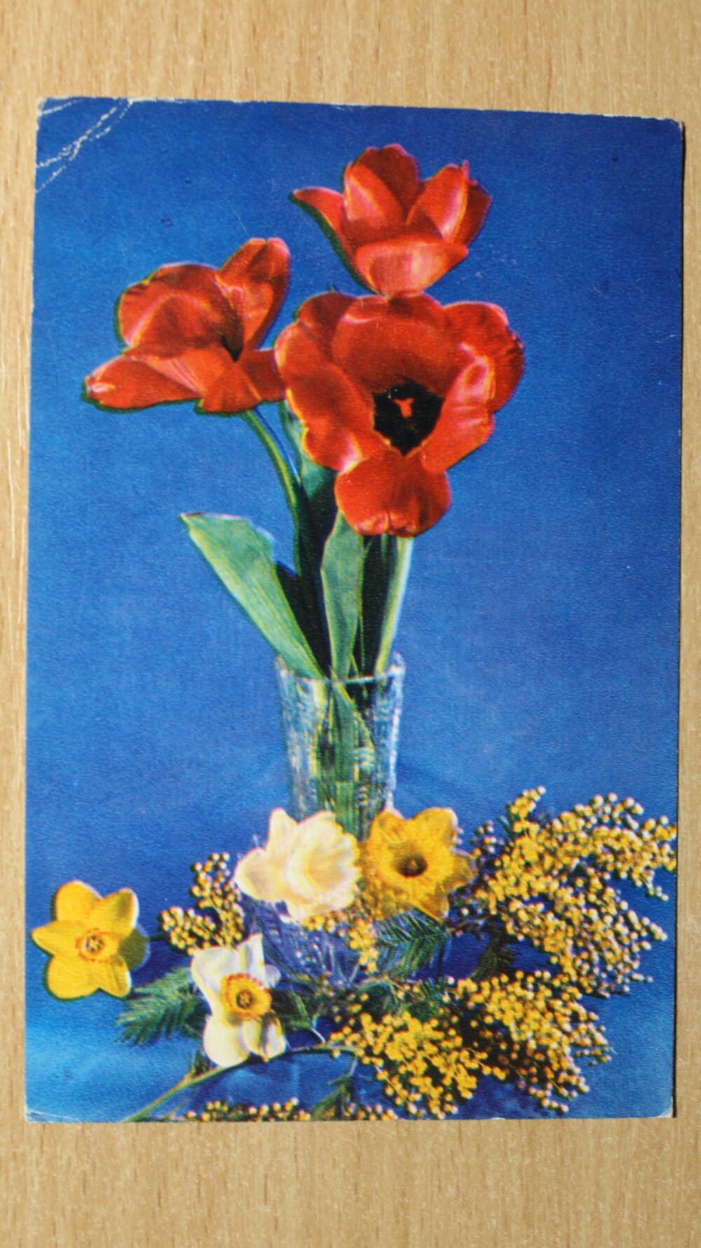 Фотография. Коллекция открыток с изображением цветов. Композиция из цветов