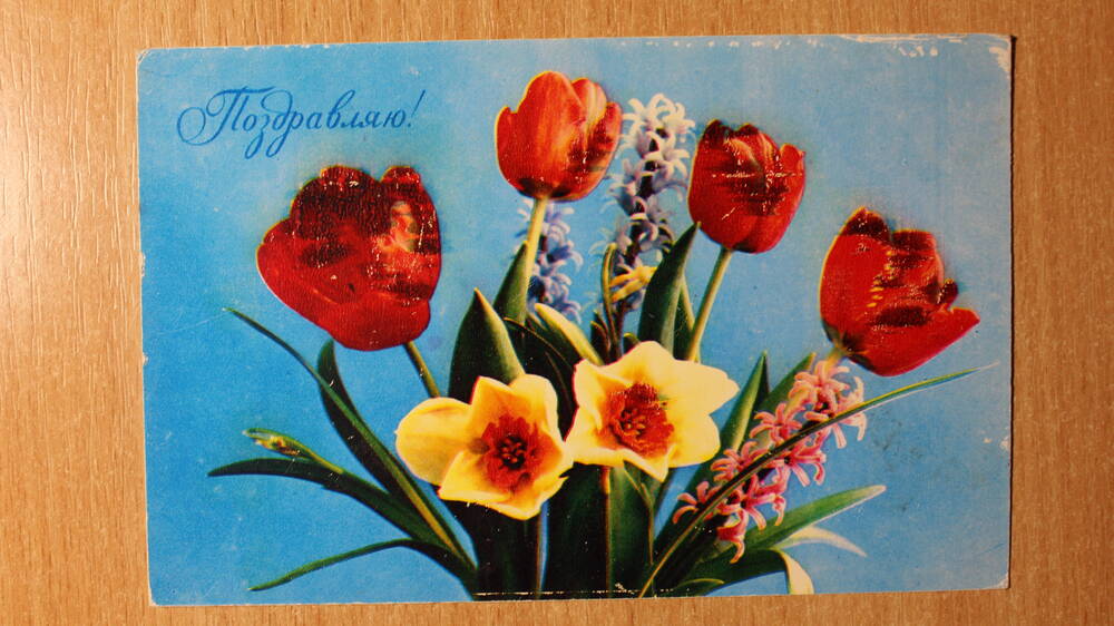 Фотография. Коллекция открыток с изображением цветов. Поздравляю!