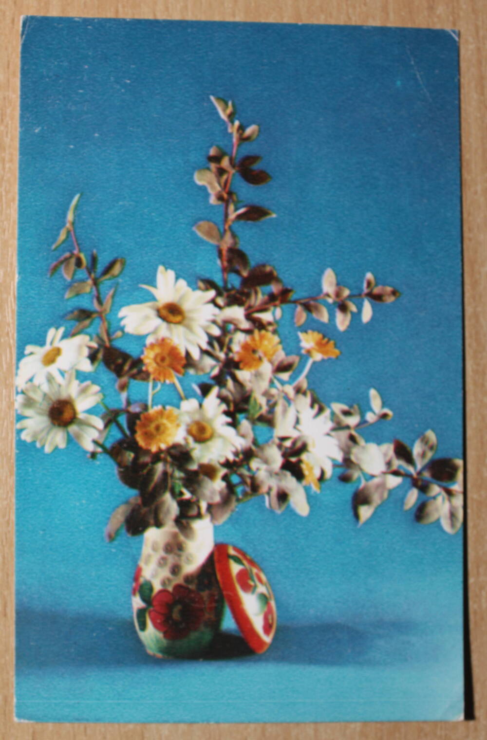 Фотография. Коллекция открыток с изображением цветов. Поздравляю!