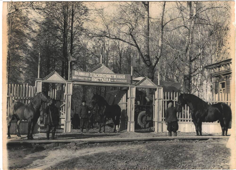 Фото черно белое ворот в парк