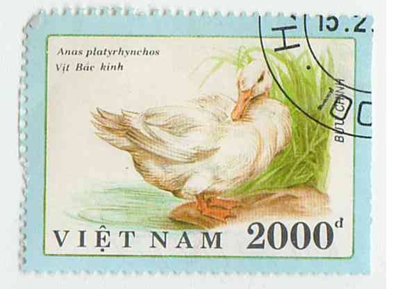 Марка почтовая с изображением белой утки. Вьетнам. 1990. Гашеная.