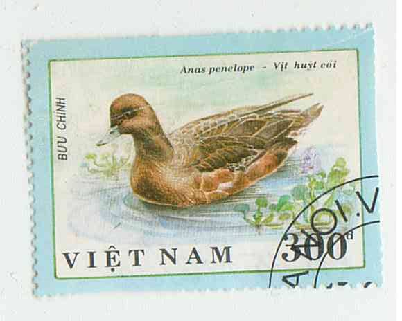 Марка почтовая с изображением серой утки. Вьетнам. 1990 Гашеная.