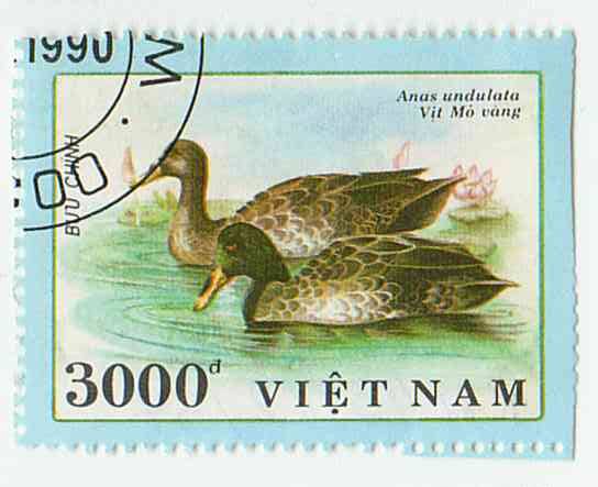 Марка почтовая с изображением двух серых уток. Вьетнам. 1990. Гашеная.