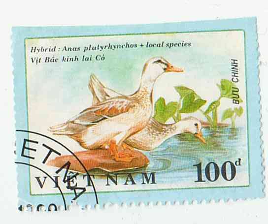 Марка почтовая с изображением двух белых уток. 1990. Вьетнам. Гашеная.