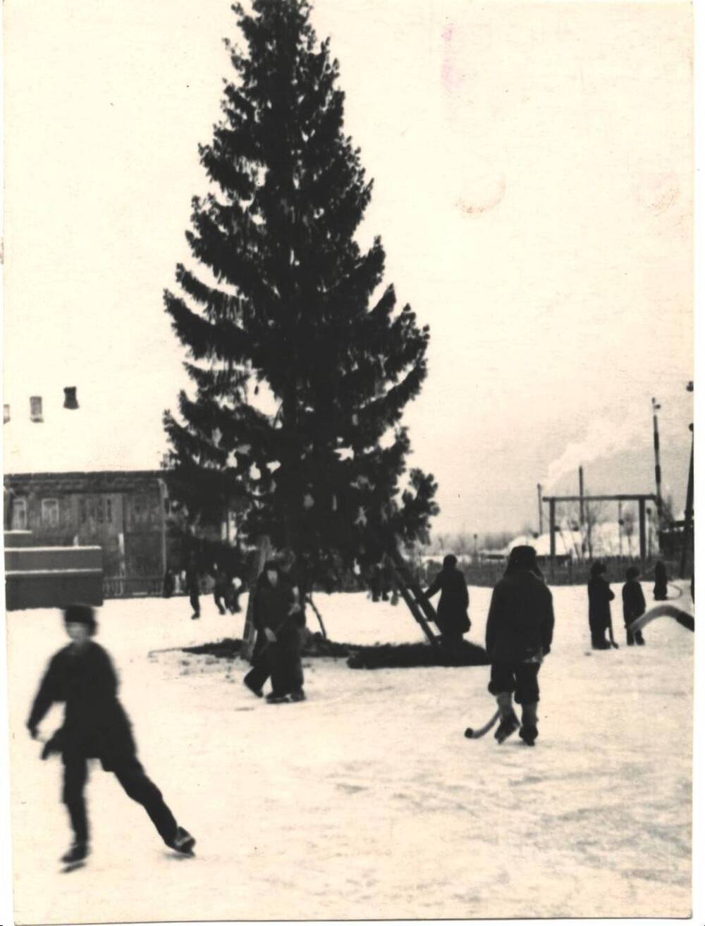 Фото черно-белое новогодней елки и катка