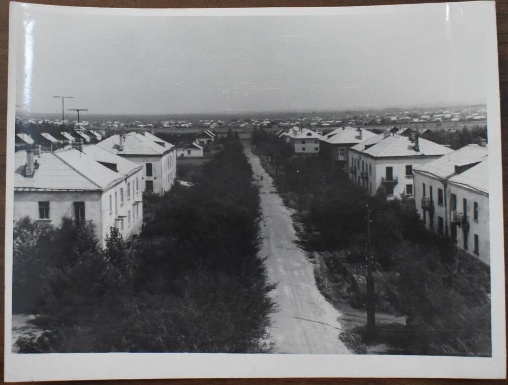 Фотография.
Жилой городок сахарного завода.
р.п. Пинеровка.