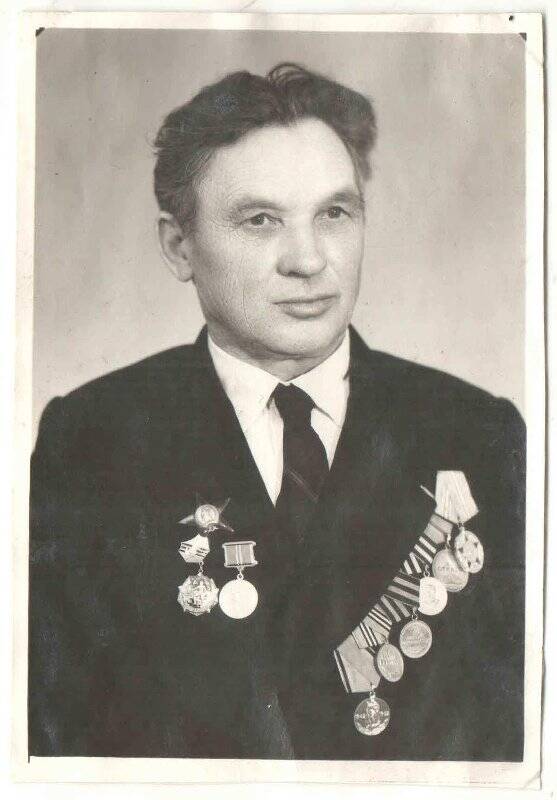Фотография. Зубрилин Дмитрий Михайлович - ветеран Великой Отечественной войны 1941-1945 гг.