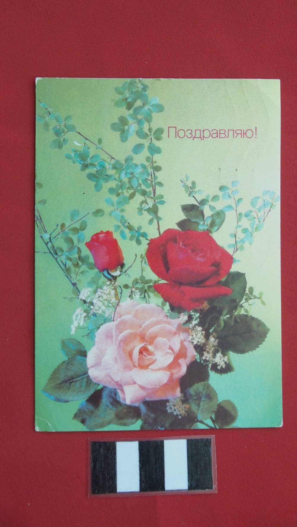 Почтовая поздравительная открытка Поздравляю!, фото И. Дергилева (розы)