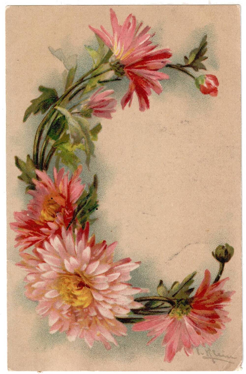 Почтовая открытка Буква С. Цветочный алфавит.