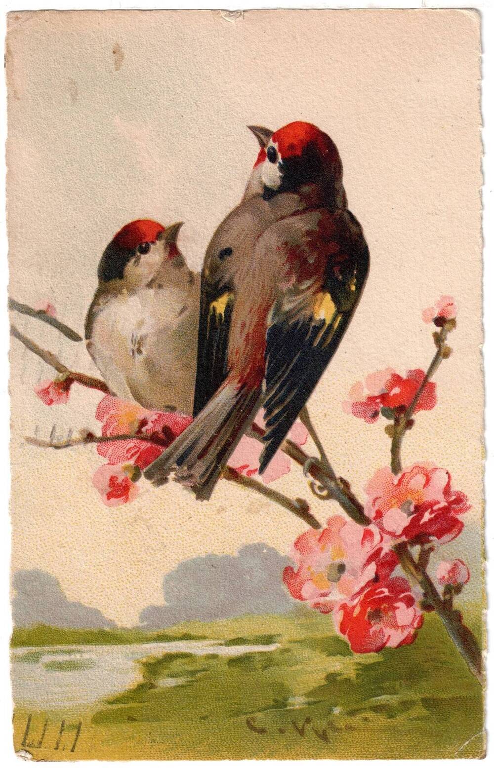 Почтовая открытка Две птицы. 231.